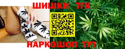 индика Мариинск